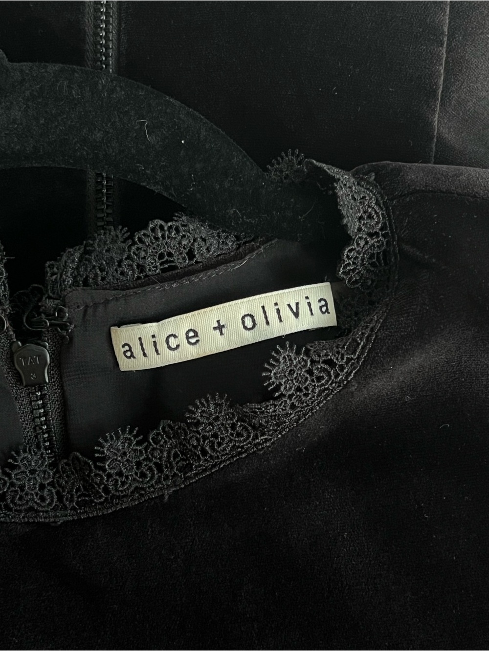 Alice + Olivia Velvet Dress - Picture 7 of 9